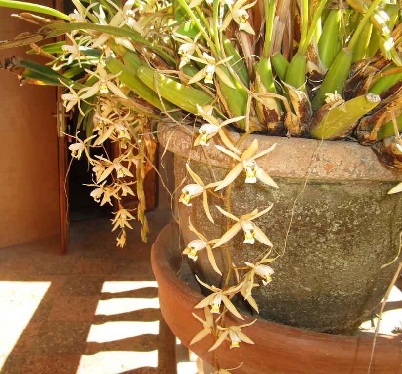 Meva Guesthouse Antananarivo Exterior photo